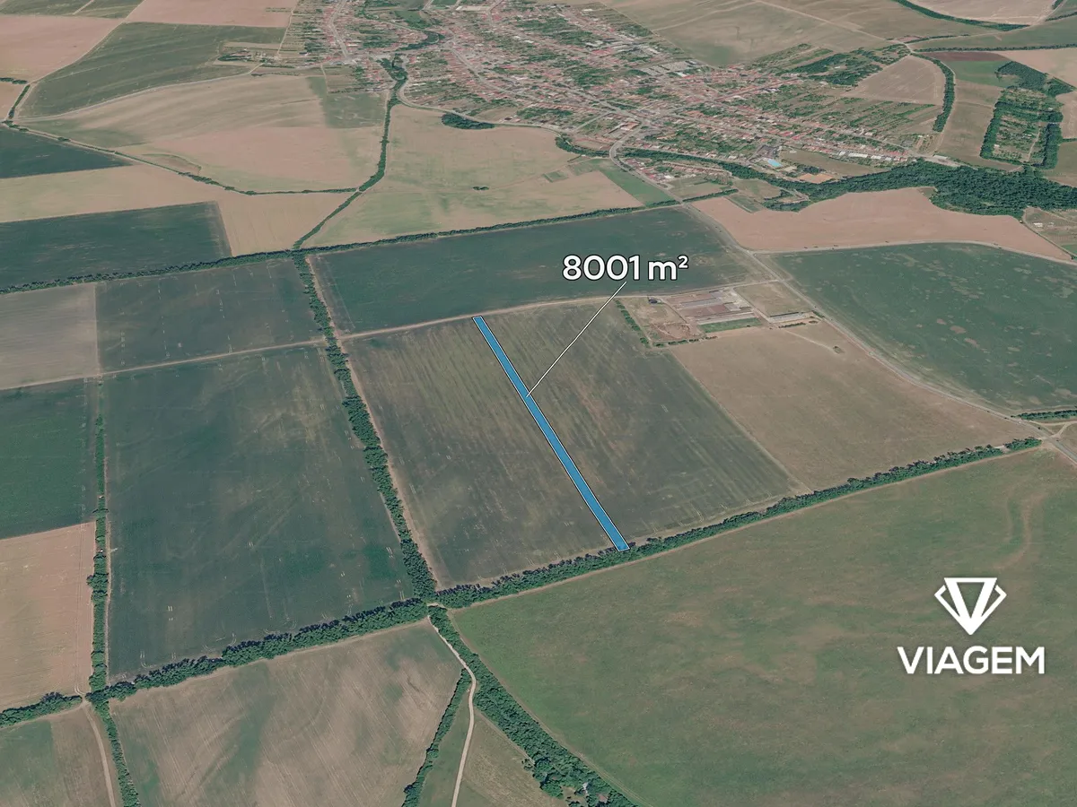 Prodej pole 8001 m²